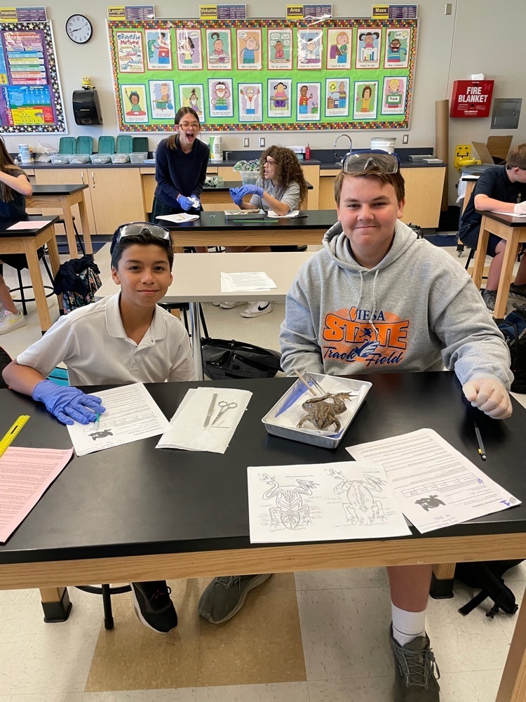 two boys sitting at lab tables dissecting frog